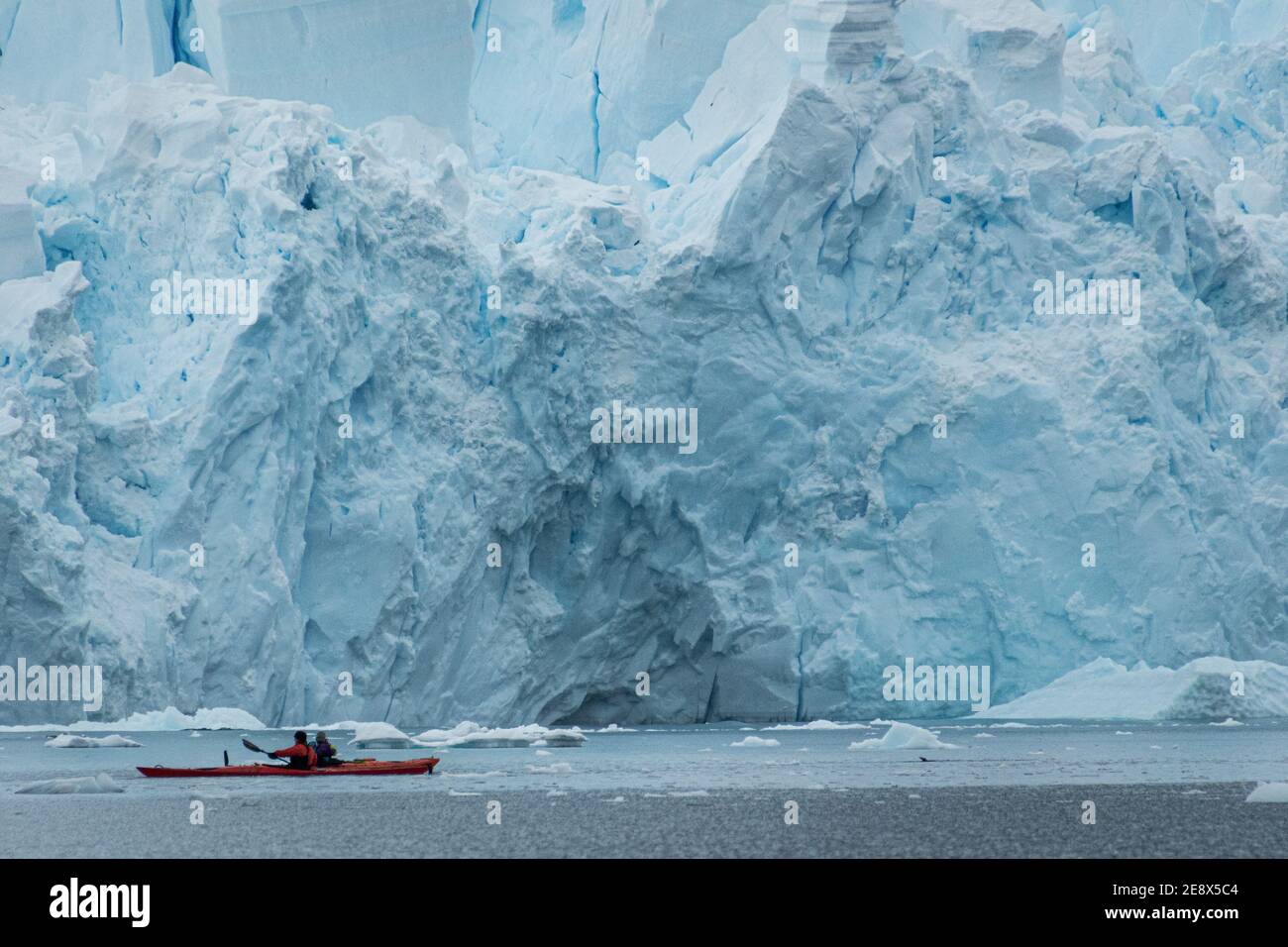 Kajakfahren bis zum Gletscher in Paradise Harbor, Antarktis Stockfoto