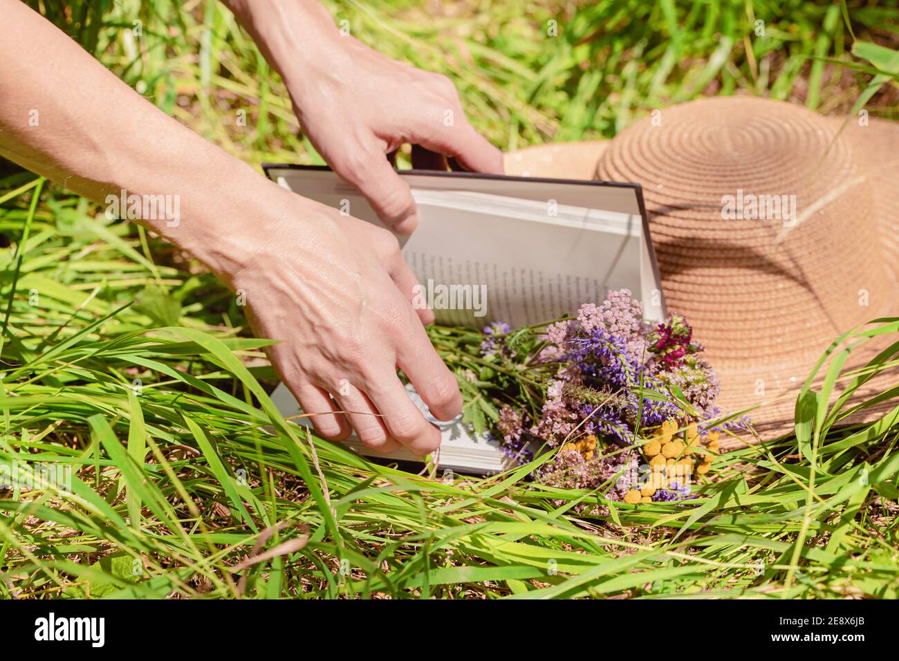 Anmutige weibliche Hände, ein Buch, ein Strohhut und ein Strauß Waldblumen auf dem grünen Gras. Stillleben im Sommer. Helle Sommersonne Stockfoto