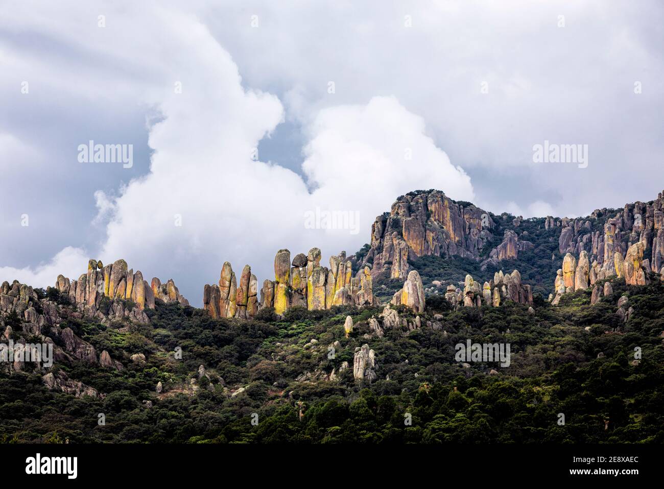 Fingerartige Felsformationen im Nationalpark Sierra de Cardos, Zacatecas, Mexiko. Stockfoto