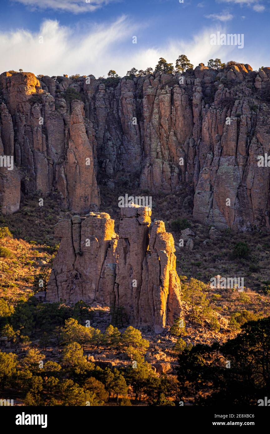 Felsformationen im Nationalpark Sierra de Organos bei Sonnenaufgang in Zacatecas, Mexiko. Stockfoto