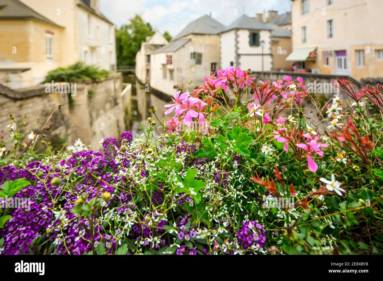 Das malerische Dorf Bayeux in der Normandie verschwimmt hinter bunten Blumen über der Aure. Stockfoto