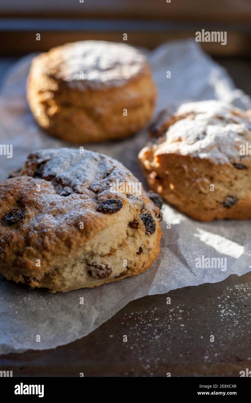 Frisch backt Scones Stockfoto