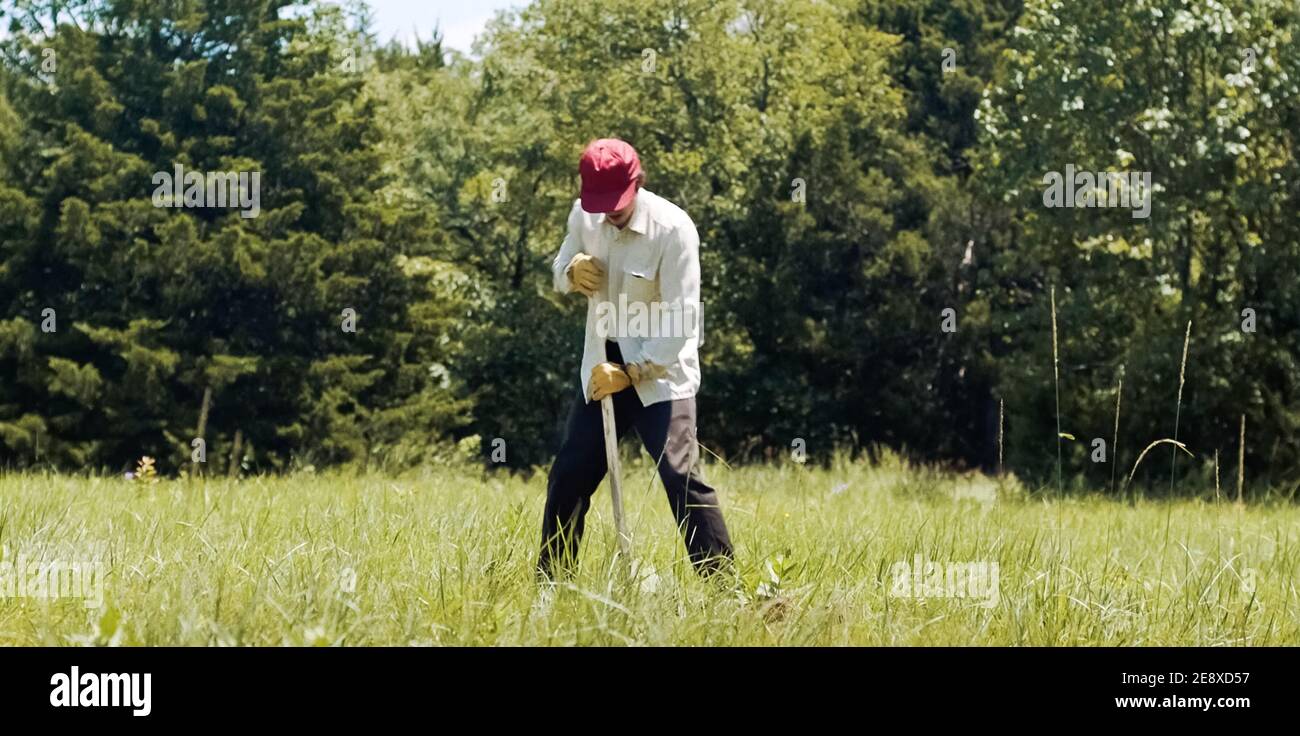USA. Steven Yeun in ©A24 neuer Film: Minari (2020). Grundstück: Eine koreanische Familie zieht in den 1980er Jahren nach Arkansas, um eine Farm zu gründen. Ref.: LMK110-J6854-180121 geliefert von LMKMEDIA. Nur Redaktionell. Landmark Media ist nicht der Urheberrechtsinhaber dieser Film- oder TV-Standbilder, bietet aber einen Service nur für anerkannte Medien. pictures@lmkmedia.com Stockfoto