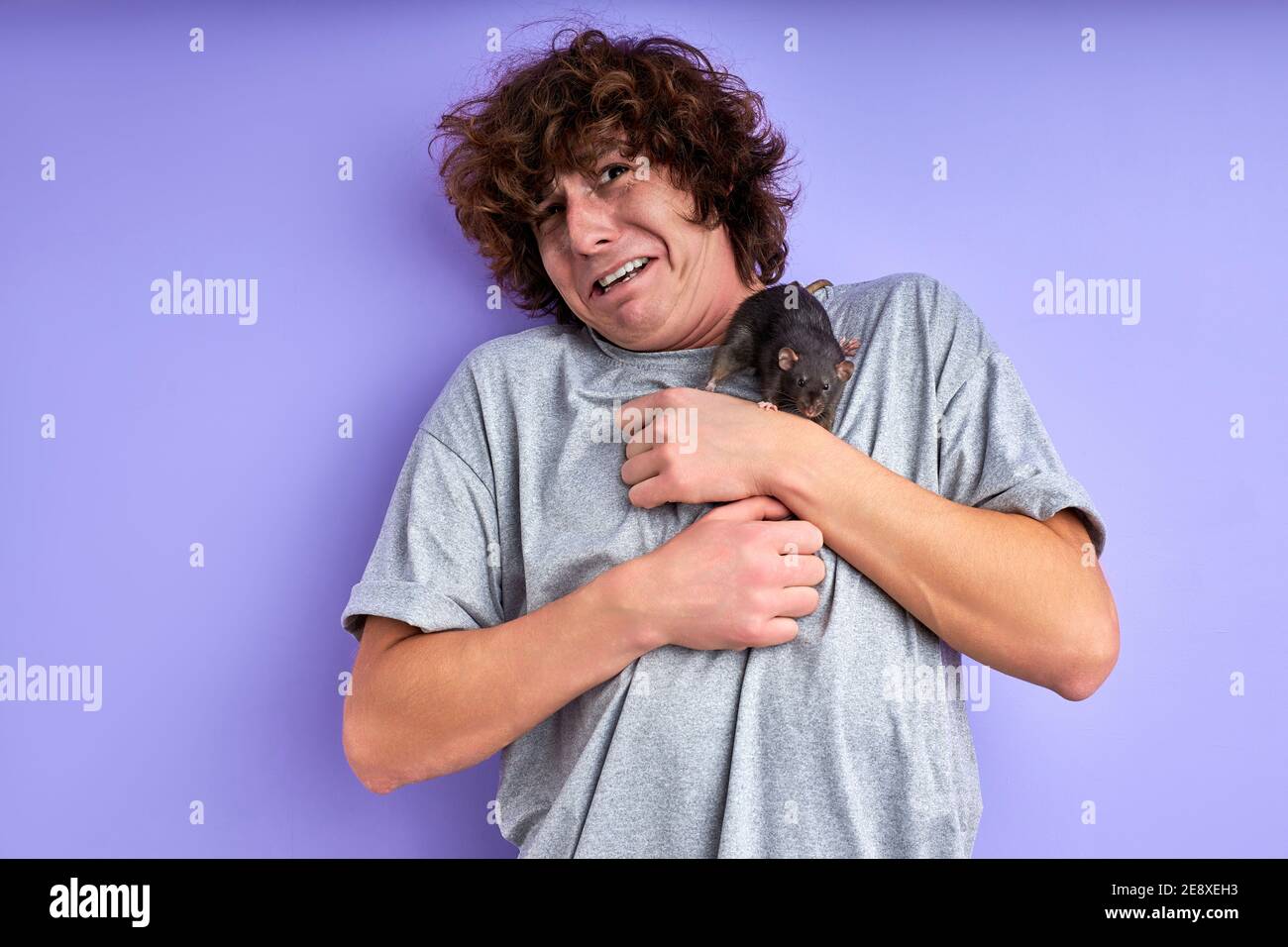 Verspielte Ratte auf der Hut der Mann, lockig kaukasischen Kerl stehen kann sich nicht bewegen, dekorative Ratte kriecht auf seinem T-Shirt Stockfoto