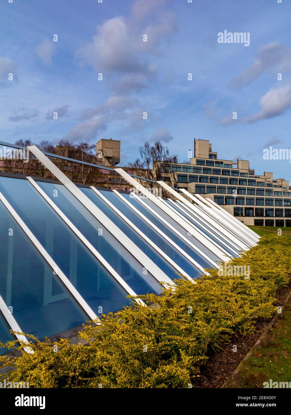 Der Campus der University of East Anglia in Norwich England wurde von Denys Lasdun entworfen und von 1962 bis 1968 mit Betonterrassen im Ziggurat-Stil gebaut. Stockfoto