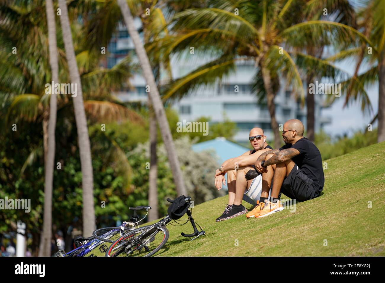 Männer sitzen auf einem grasbewachsenen Hügel und reden Miami Beach Szene Straßenfotografie Stockfoto