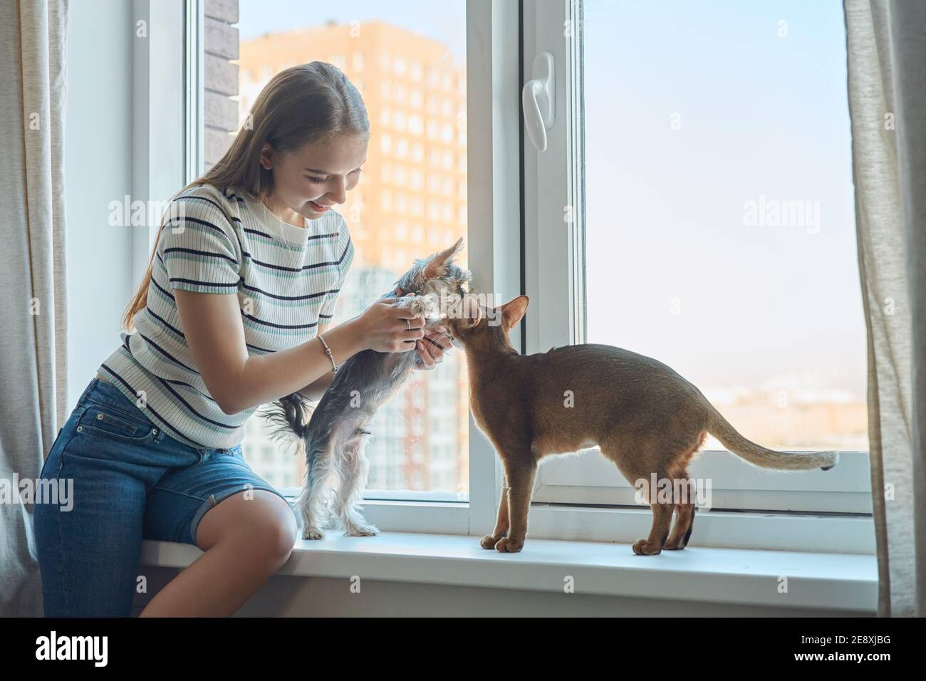 Junge Frau, die mit einem Hund und einer Katze an einem Tag zu Hause spielt. Die Freude, Haustiere zu haben. Stockfoto