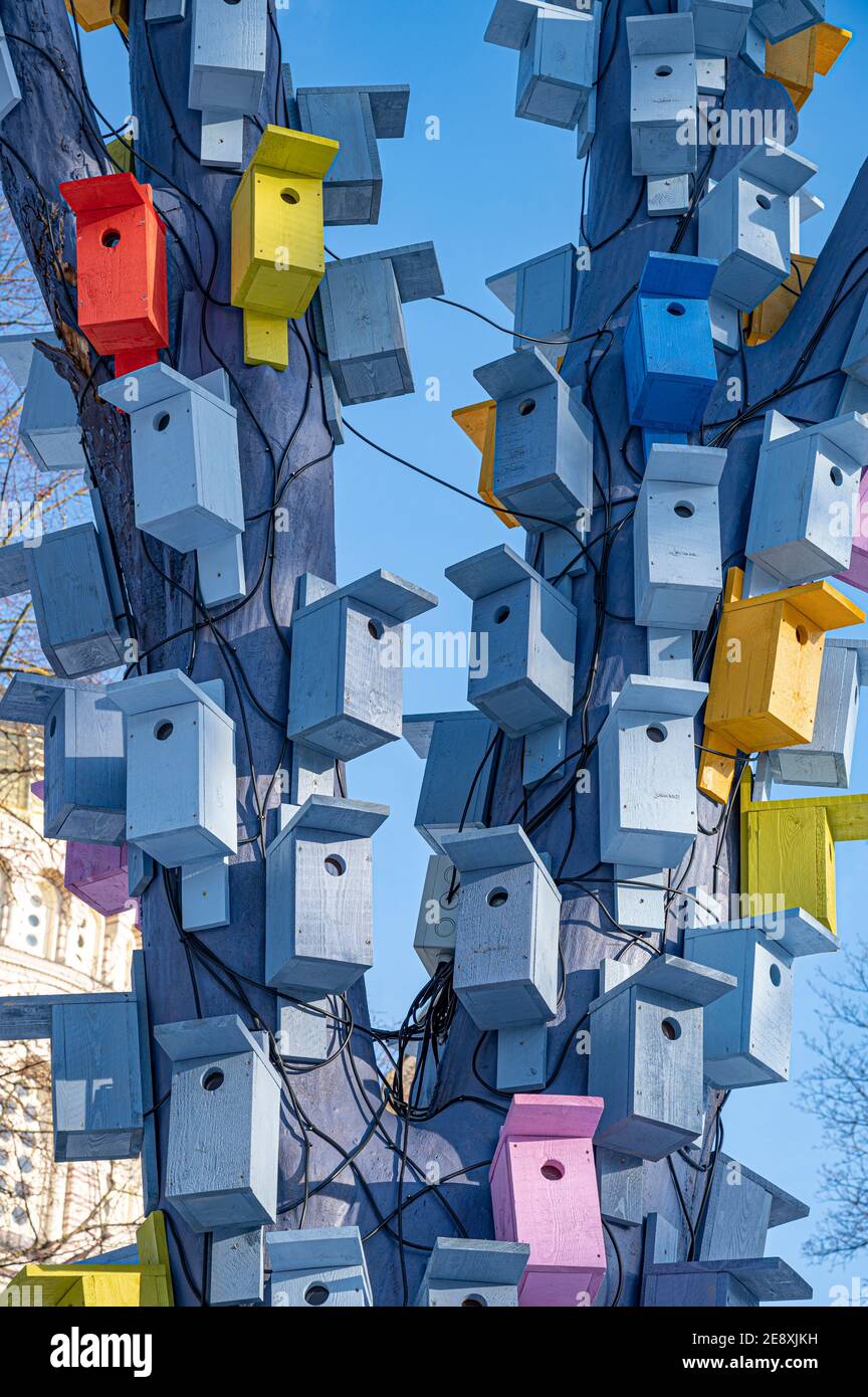 Blauer Baum mit vielen verschiedenen bunten Vogelhäusern Stockfoto