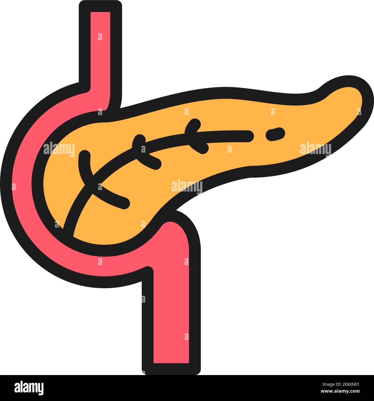 Pankreas, menschliches Organ flache Farblinie Symbol. Isoliert auf weißem Hintergrund Stock Vektor