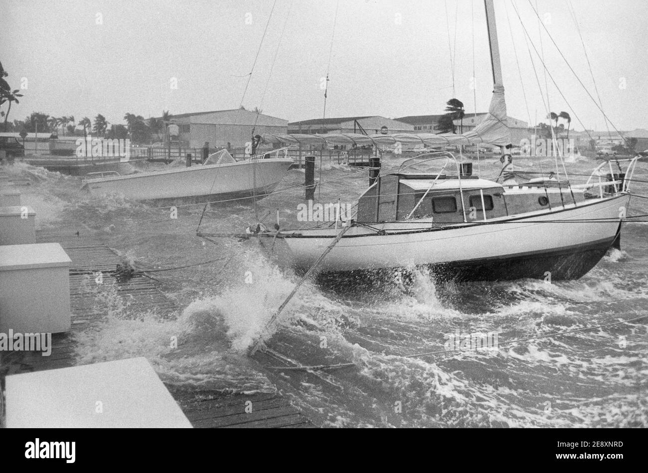 Hurrikan-Winde richten in Miami's Dinner Key Marina in den 1960er Jahren verheerende Schäden an. Stockfoto