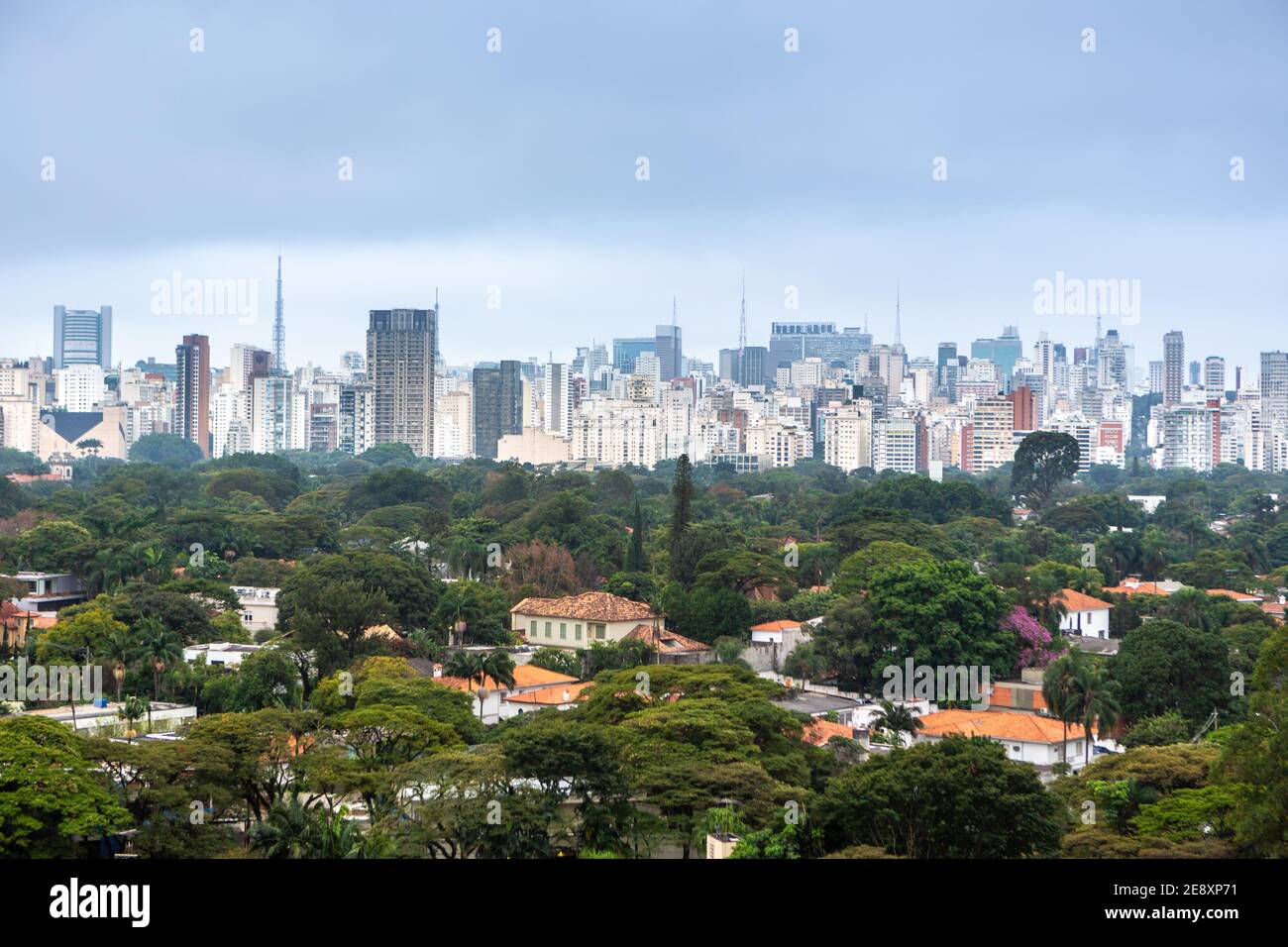 Luftaufnahme der Skyline von São Paulo, Park, Häuser und Bäume und Gebäude im Hintergrund an einem bewölkten Sommertag. Konzept der Stadt, Stadt. Stockfoto