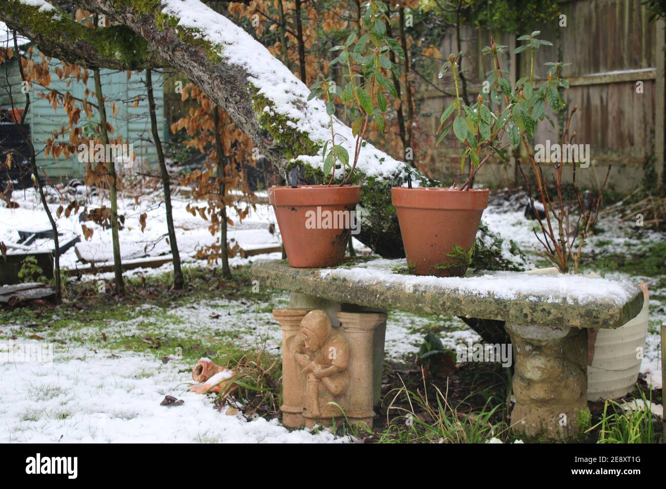 Schneeszene Landschaft von gefrorenen englischen Land Wintergarten mit Steinbank Sitz unter Apfelbaum und Pflanzentöpfe Frühling Birnen wächst Gras Rasen Stockfoto