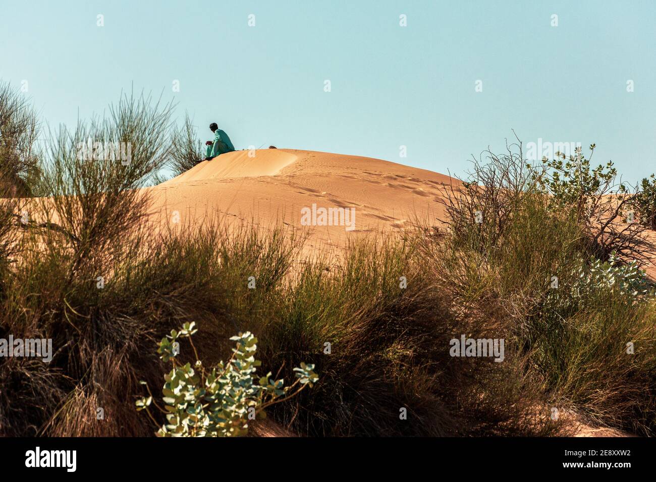 Beduinen in der Großen Arabischen Wüste. Stockfoto