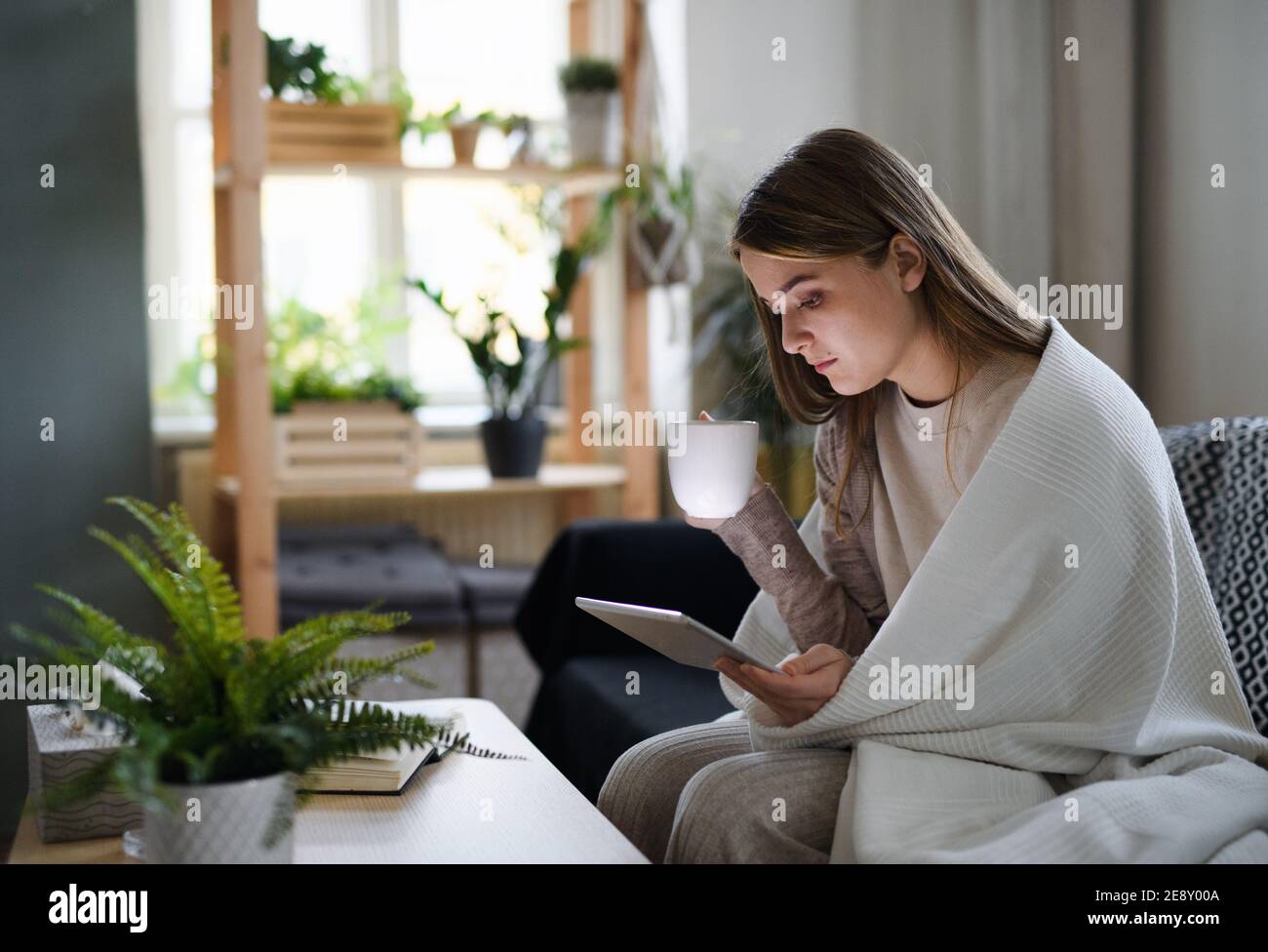 Verärgert junge Frau in Decke auf Sofa zu Hause eingewickelt, mit Tablet. Stockfoto