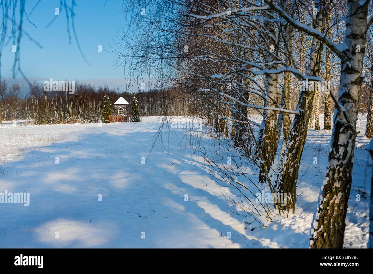 Winterlandschaft mit einer Kapelle zwischen Feldern und Birken. Schneebedeckte Felder. Birke Gasse. Polnische Landschaften. Februar in der Masowien Landschaft. So Stockfoto
