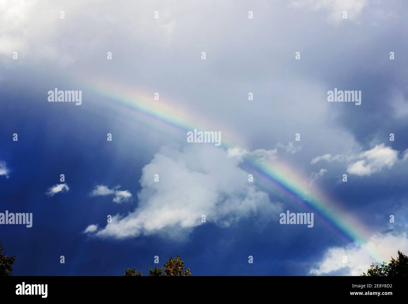 Echter hübscher Regenbogen in dunklem Himmel durch weiße Wolken Sommer Tag Stockfoto