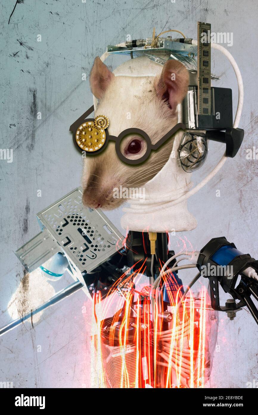 Abstraktes Konzept Cyborg mechanische weiß Labor Ratte Collage 3D Illustration Stockfoto