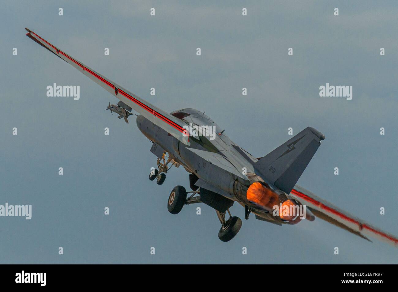 F11c schwein Fotos und Bildmaterial in hoher Auflösung Alamy