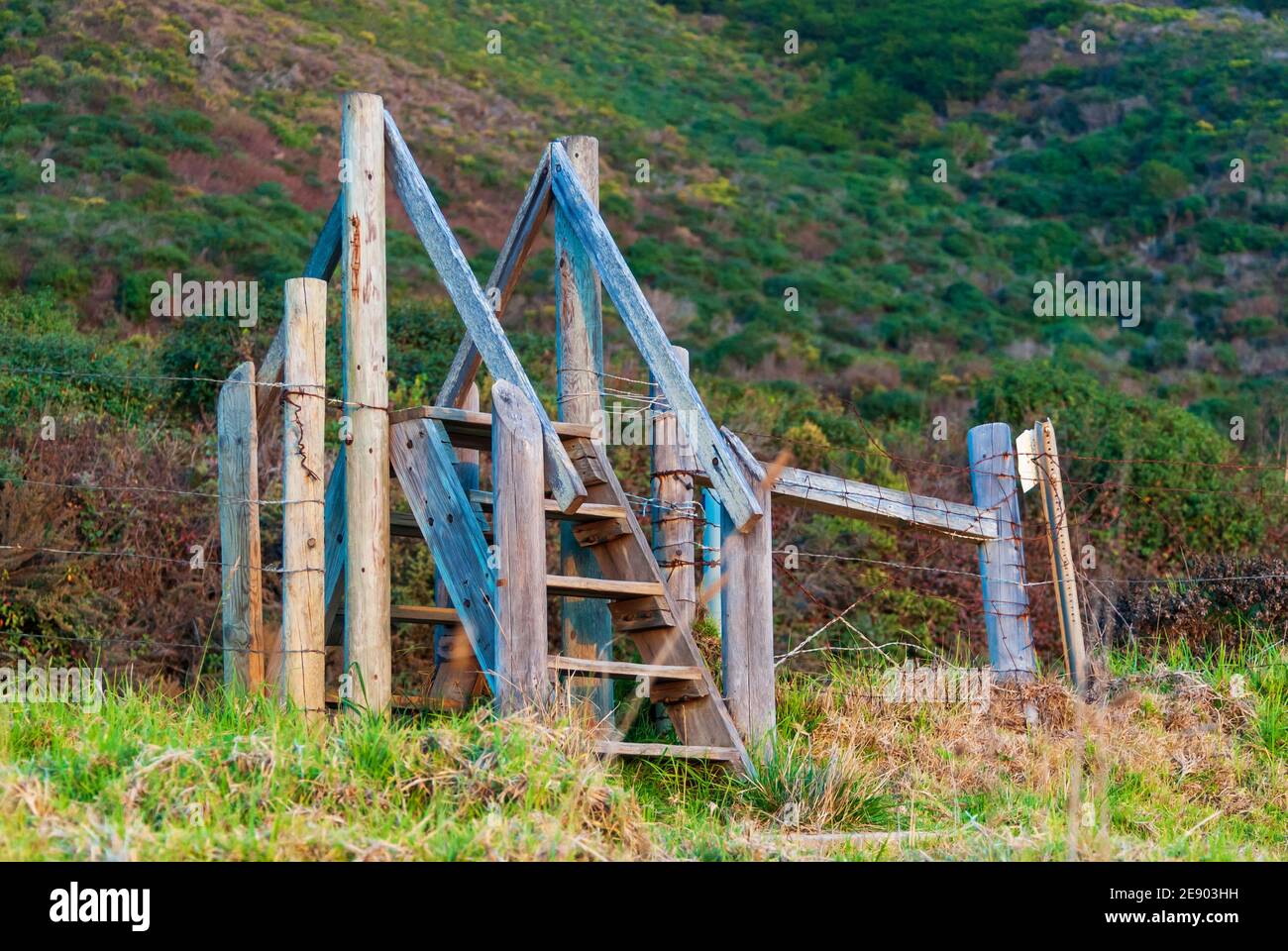 Stabiler Holzstile über einem Drahtzaun, der Zugang zur anderen Seite ermöglicht. USA. Stockfoto