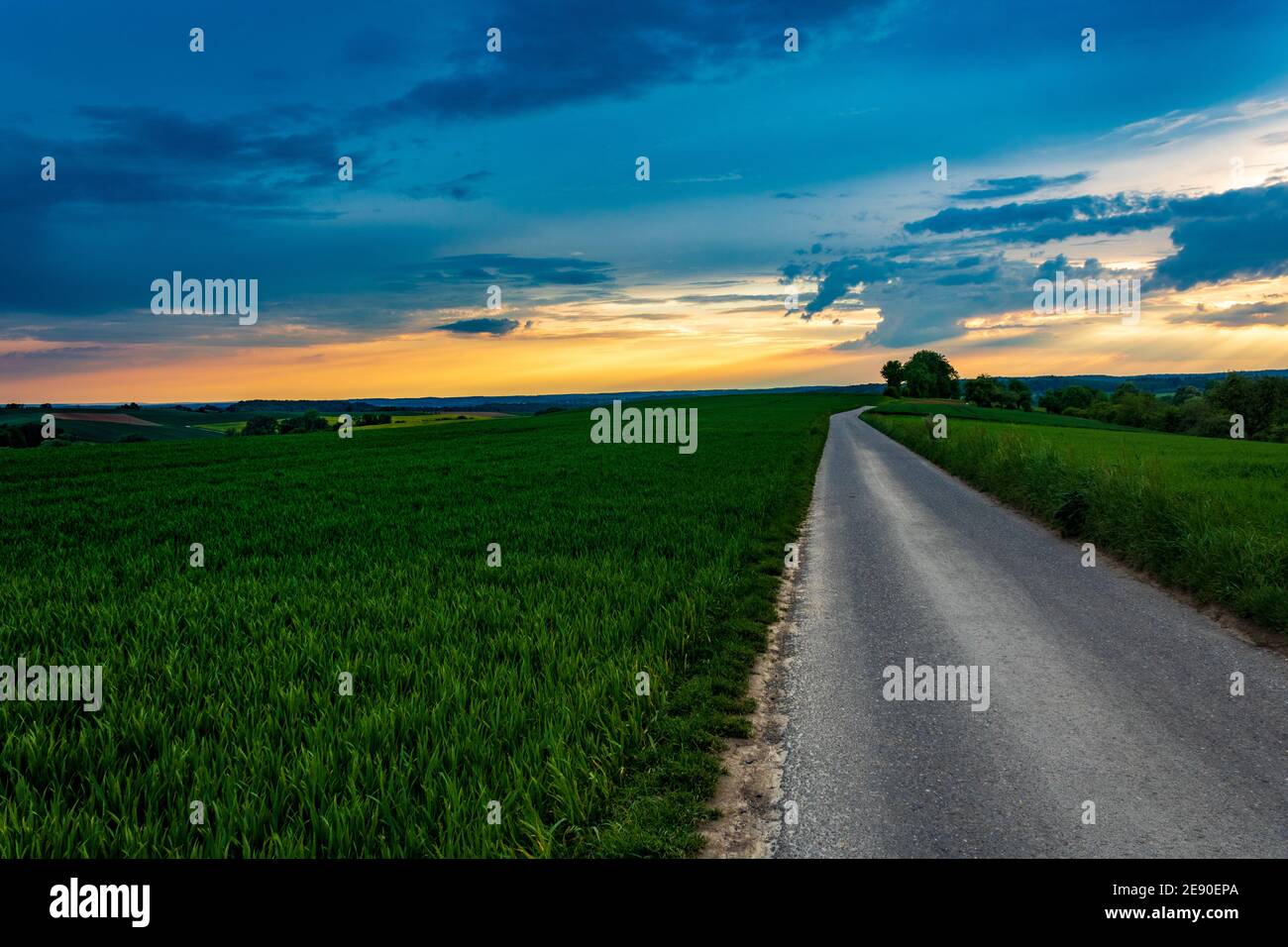 Landstraße im Feld gegen blauen Sonnenuntergangshimmel in Neudenau, Deutschland. Schöne Straße, die durch die Gras bedeckte Wiese bei Sonnenuntergang gefangen Stockfoto