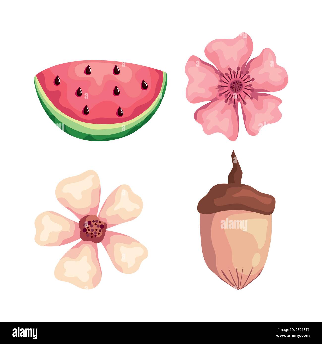 Schöne Blumen mit Wassermelone und Nuss Stock-Vektorgrafik - Alamy