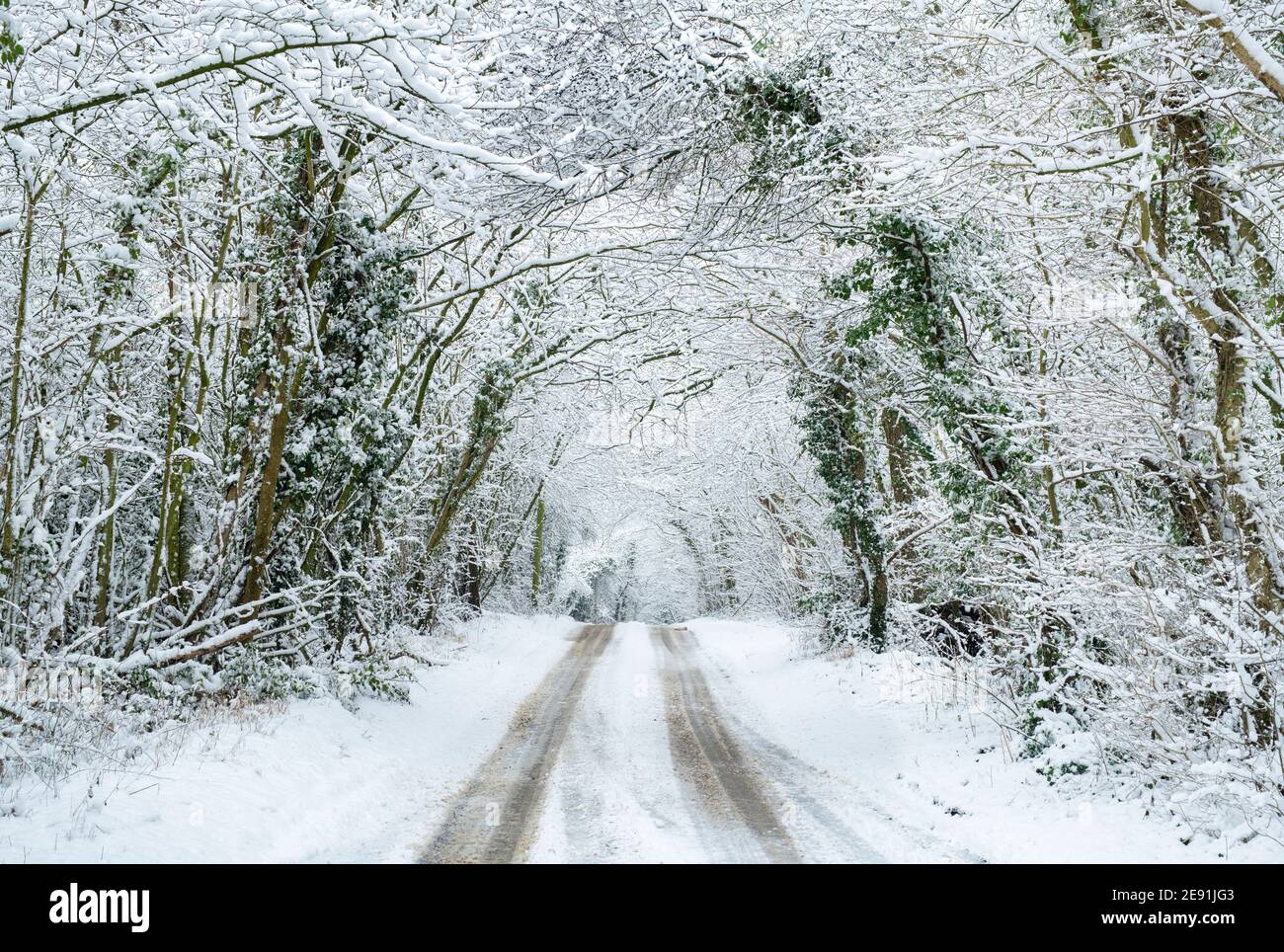 Baumtunnel entlang einer Landstraße in der Nähe von Upper Slaughter im Schnee. Upper Slaughter, Cotswolds, Gloucestershire, England Stockfoto