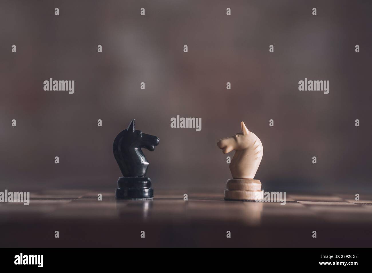 Zwei Schach-Ritter einander zugewandt Stockfoto