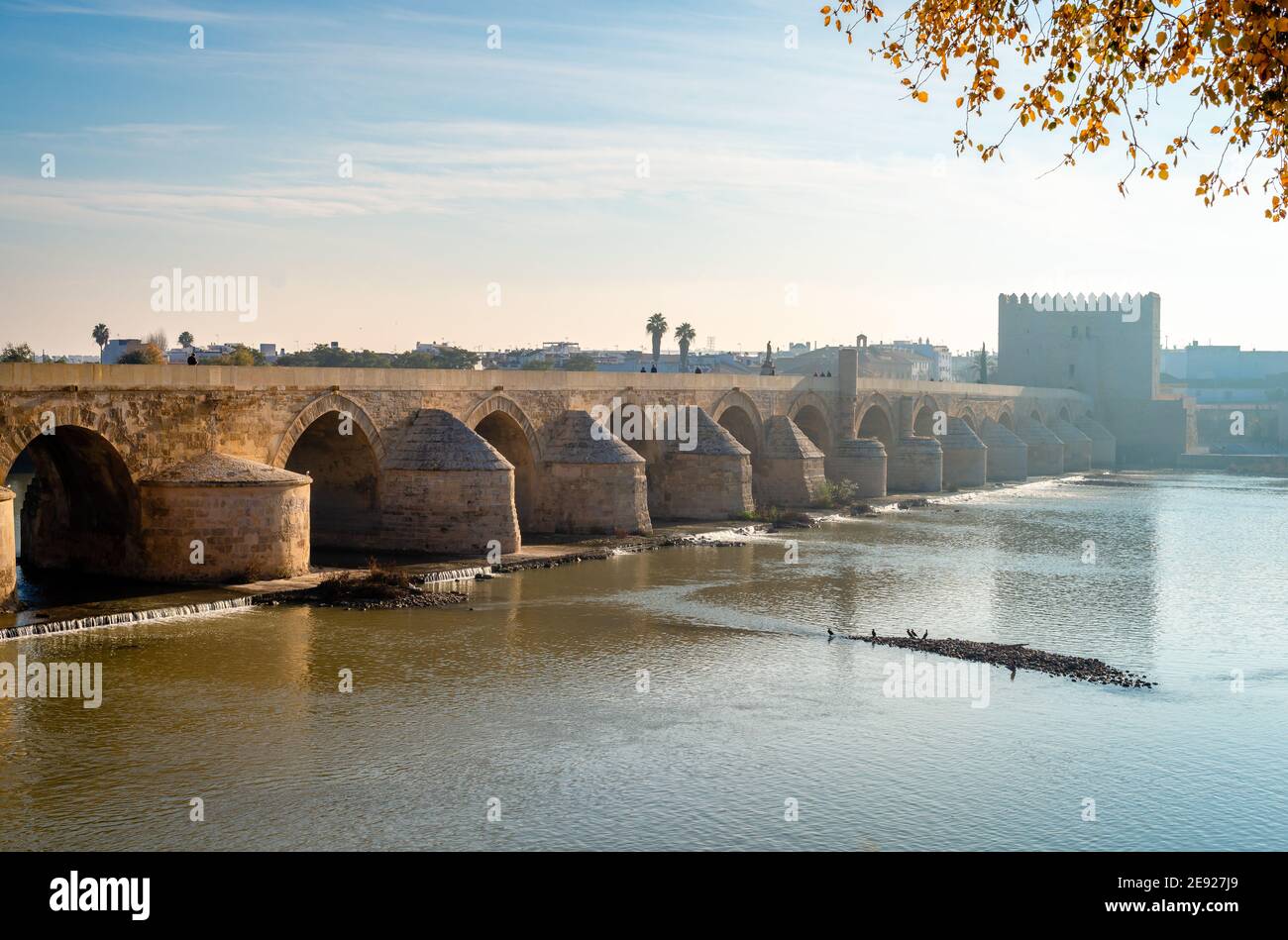 Blick auf die römische Brücke, eine Steinbrücke, die den Fluss Guadalquivir in Cordoba, Andalusien überspannt, in einem nebligen Morgen, im Winter. Stockfoto