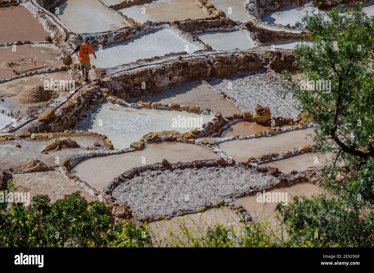 Arbeiter in der Salinera de Maras, die noch immer von der lokalen Bevölkerung in Cusco, Peru, Anden betrieben werden Stockfoto