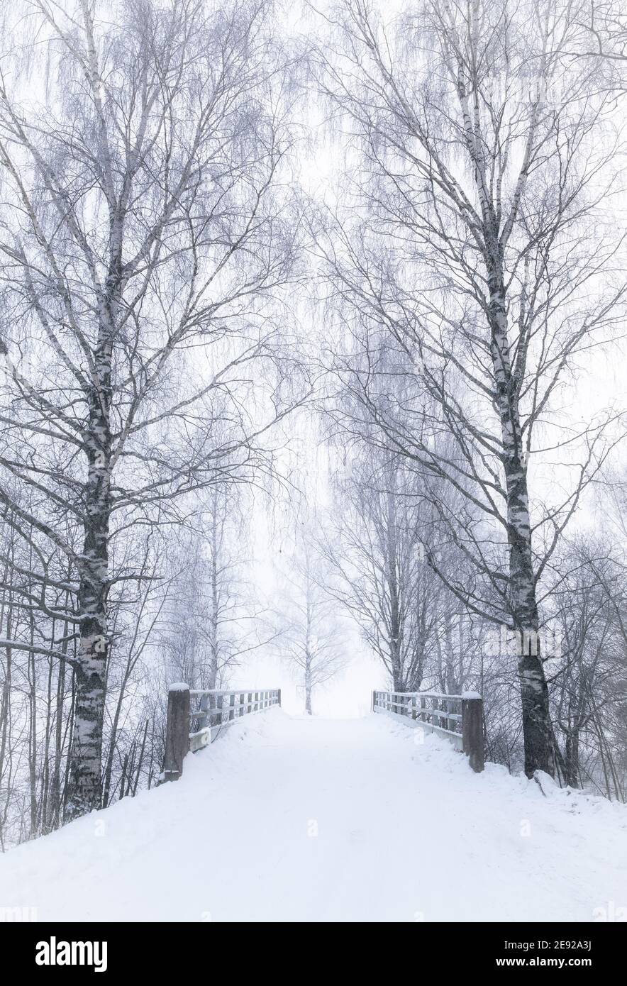 Malerische Landschaft mit schneebedeckten Straße tagsüber in Finnland Stockfoto