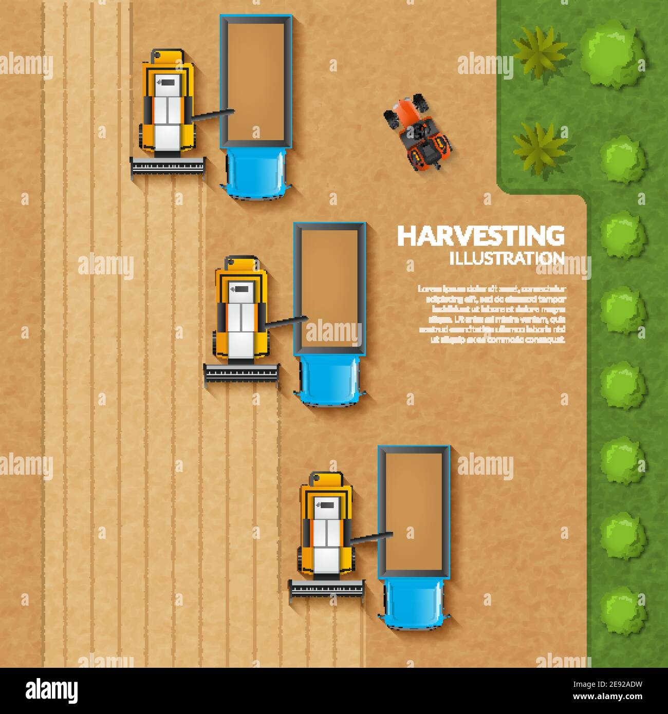 Erntekonzept mit Draufsicht Getreidefeld mit Landmaschinen vektorgrafik Stock Vektor
