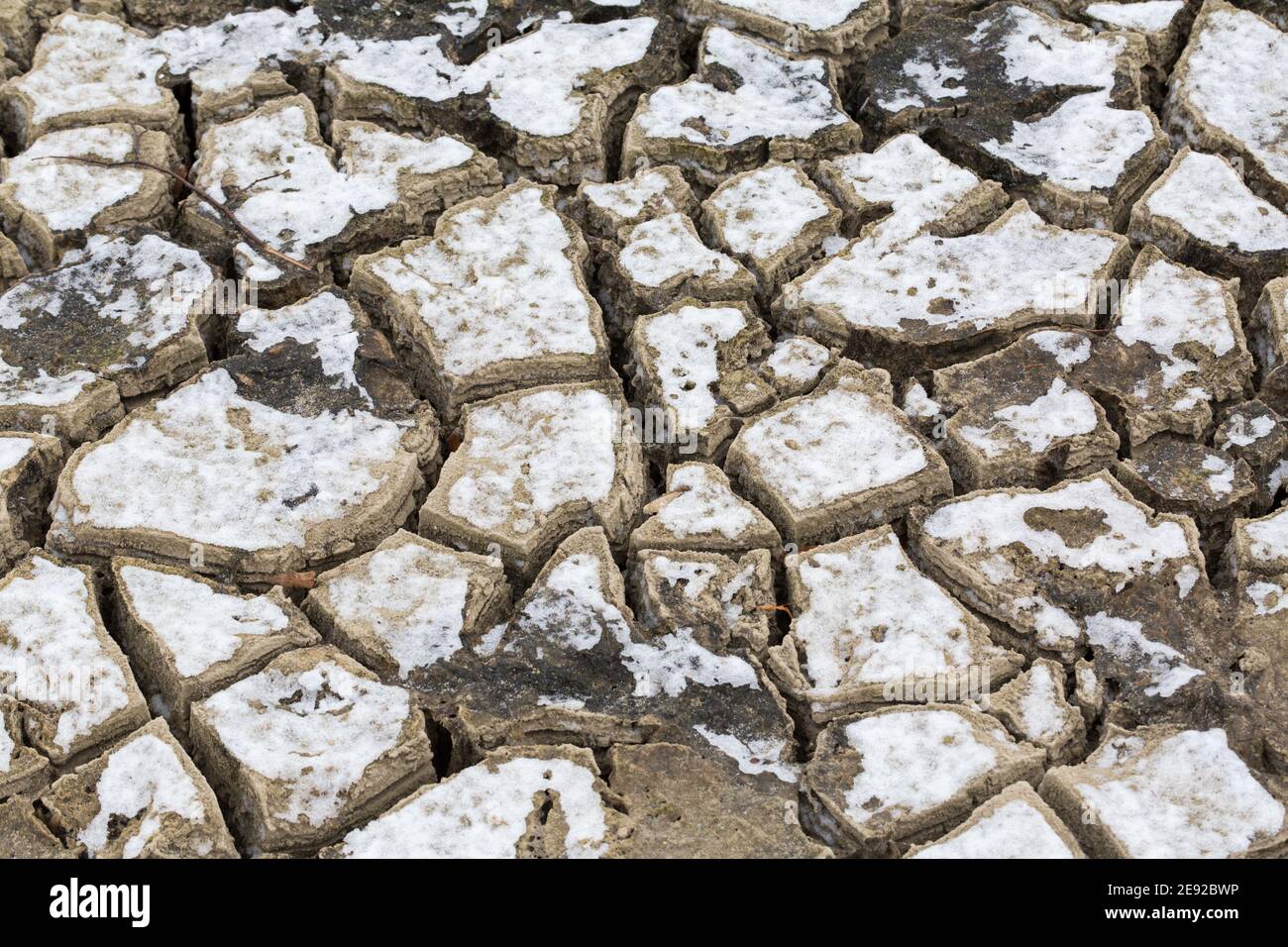 Trockene, rissige Erde. Aufgrund von Trockenheit und Wassermangel. Im Winter mit Schnee bedeckt. Stockfoto