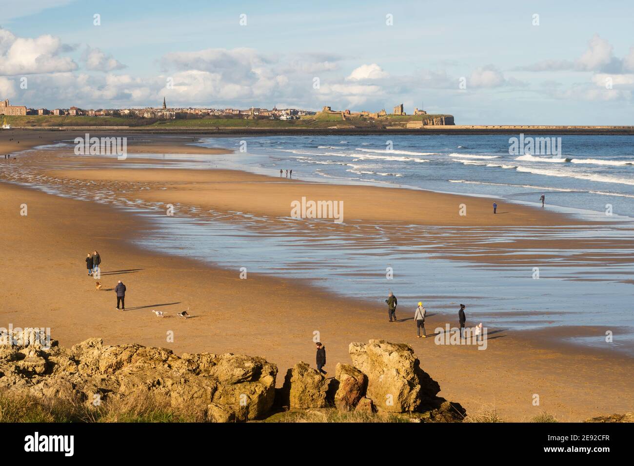 Menschen, die mit Hunden am Sandhaven Strand mit Tynemouth im Hintergrund, Nordostengland, Großbritannien, wandern Stockfoto