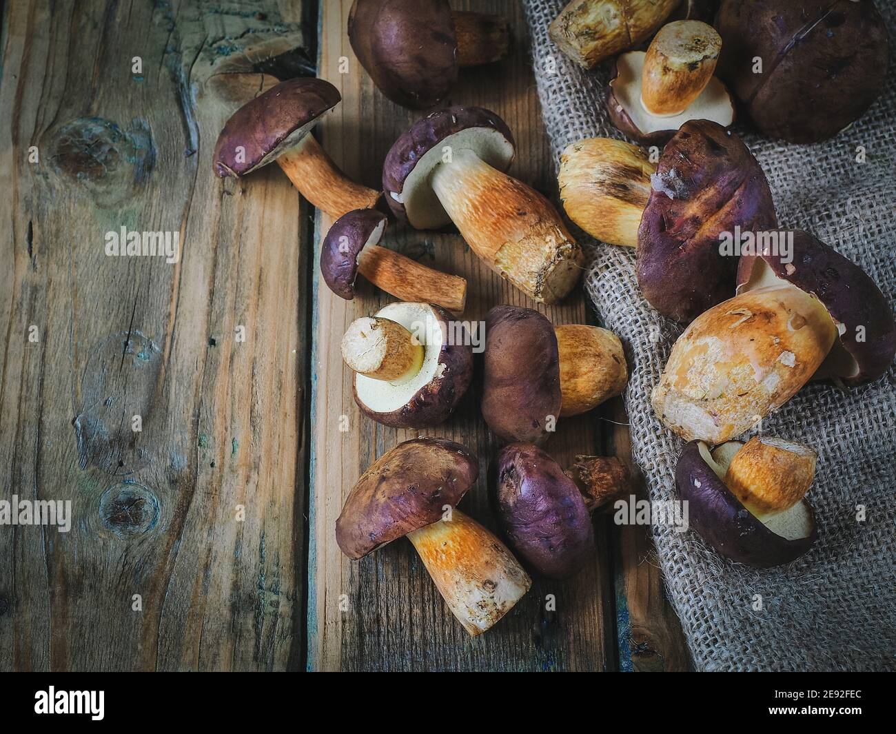 Frisch geerntete Pilze auf rustikalem Holztisch. Overhead-Aufnahme mit Kopierplatz. Stockfoto