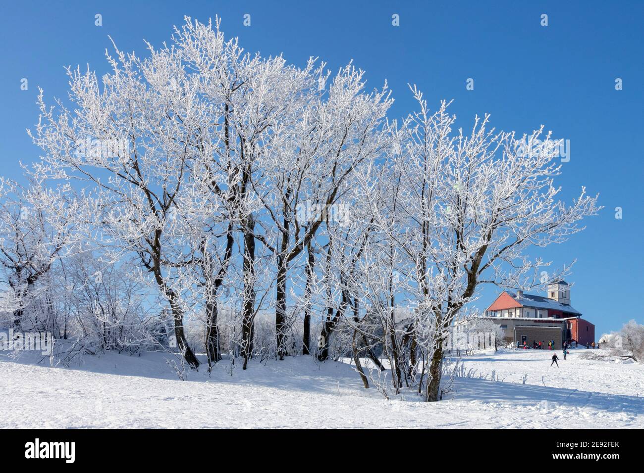 Komari Vizka Erzgebirge Tschechische Republik Winterschneebäume Tschechische Berge Winterszene Stockfoto