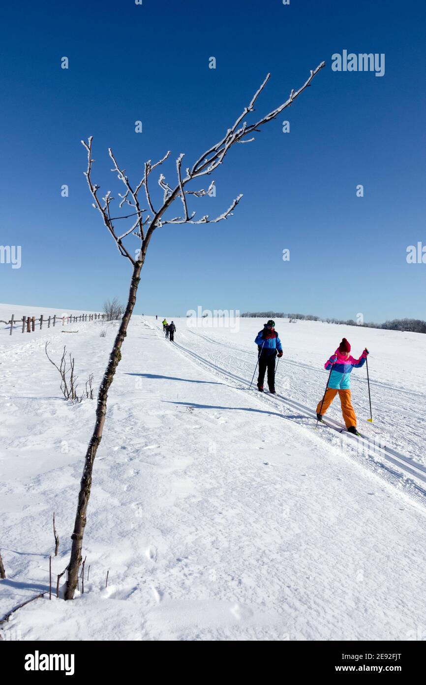 Langläufer auf der Piste, Kinderskifahren in farbenfroher Kleidung Erzgebirge Winter Tschechien Erzgebirge Stockfoto