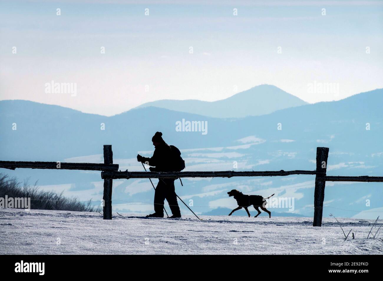 Silhouette eines alten Mannes und eines Hundes, eines älteren Mannes Langlaufen auf dem Land Tschechische Republik Mann und Hund, eine Winterszene, Senior Winter Stockfoto