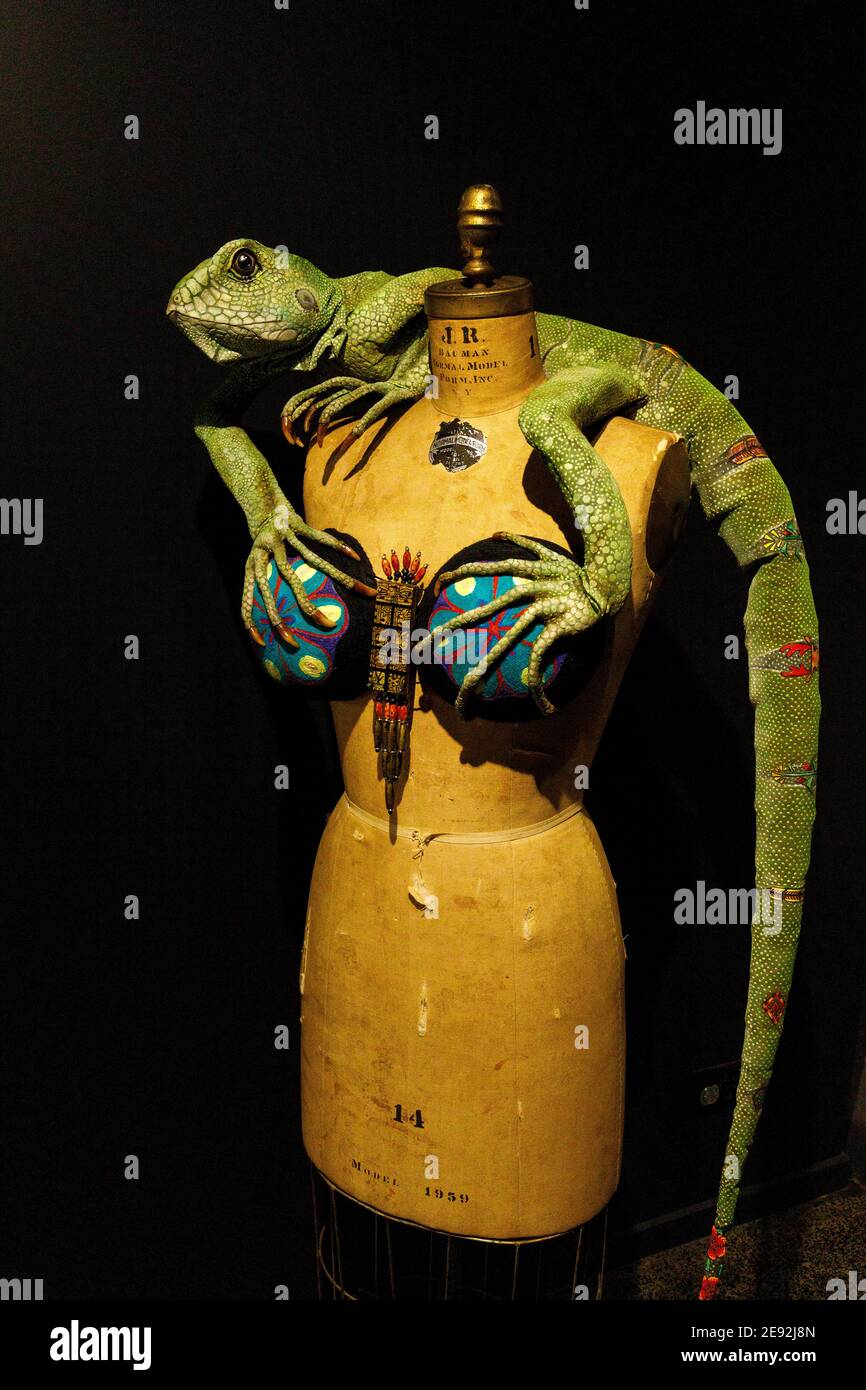 Bizarre Bras entrant aBRAcalypse Now von Wendy Moyer im Wow World of Wearable Art Museum, Nelson, Neuseeland. Stockfoto