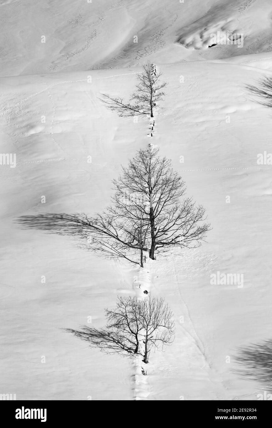 Verschneite Landschaft im Winter im Miera-Tal im Valles Pasiegos de Cantabria. Spanien.Europa Stockfoto