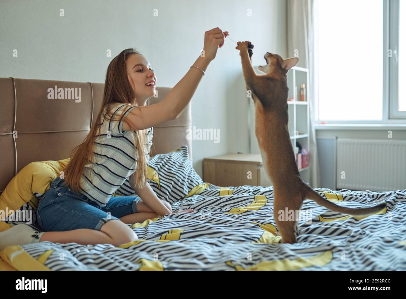 Junge Frau spielt mit einer Katze an einem Tag frei zu Hause. Die Freude, Haustiere zu haben. Stockfoto