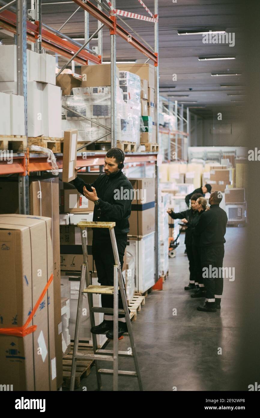 Männlicher Arbeiter, der den Bestand kontrolliert, während er auf der Leiter steht Logistiklager Stockfoto