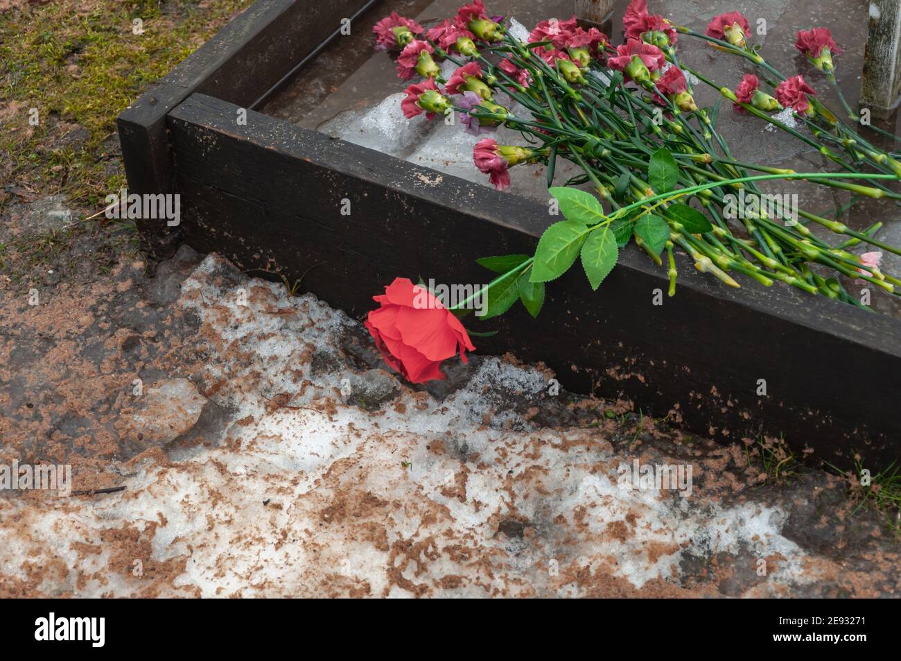 Die rote Rose wurde auf dem Grabstein auf dem Friedhof für jemanden hinterlassen, der verstorben ist. Blume auf Gedenkstein aus der Nähe. Stockfoto