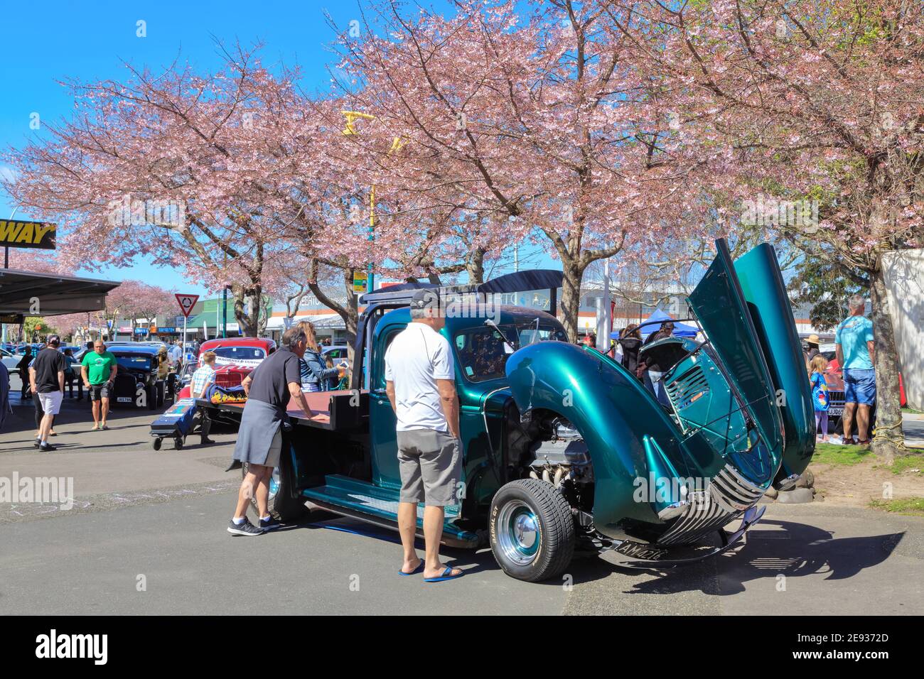 Leute, die einen Chevrolet Pickup 1946 bei einer Outdoor-Auto-Show betrachten, mit Kirschbäumen, die im Hintergrund blühen. Tauranga, Neuseeland Stockfoto