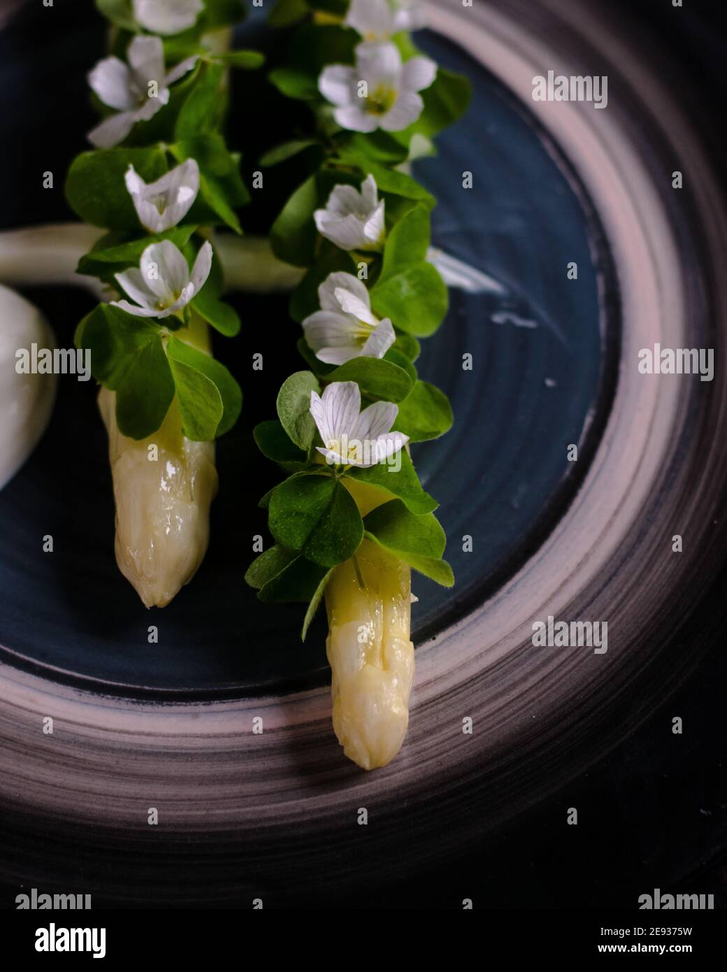 Gericht gekochten weißen Spargel plattiert und mit Weiß dekoriert Blumen und Sahne auf der Seite in einem Restaurant Stockfoto
