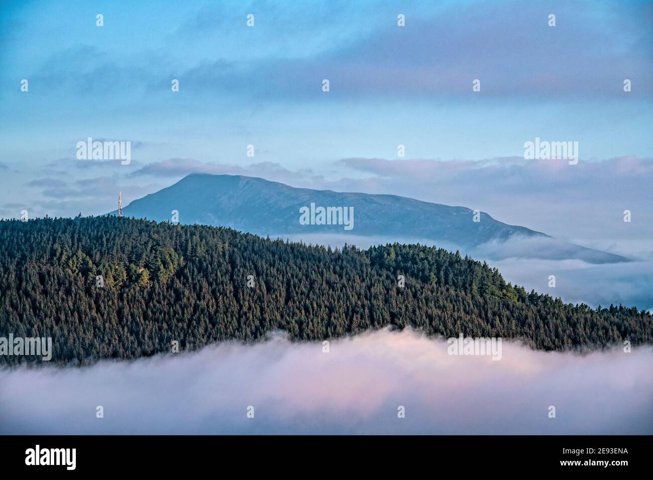 Blick auf den Schiehallion Mountain, Schottland Stockfoto