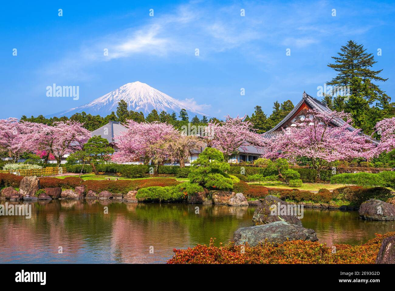Fujinomiya, Shizuoka, Japan mit Mt. Fuji im Frühjahr. Stockfoto