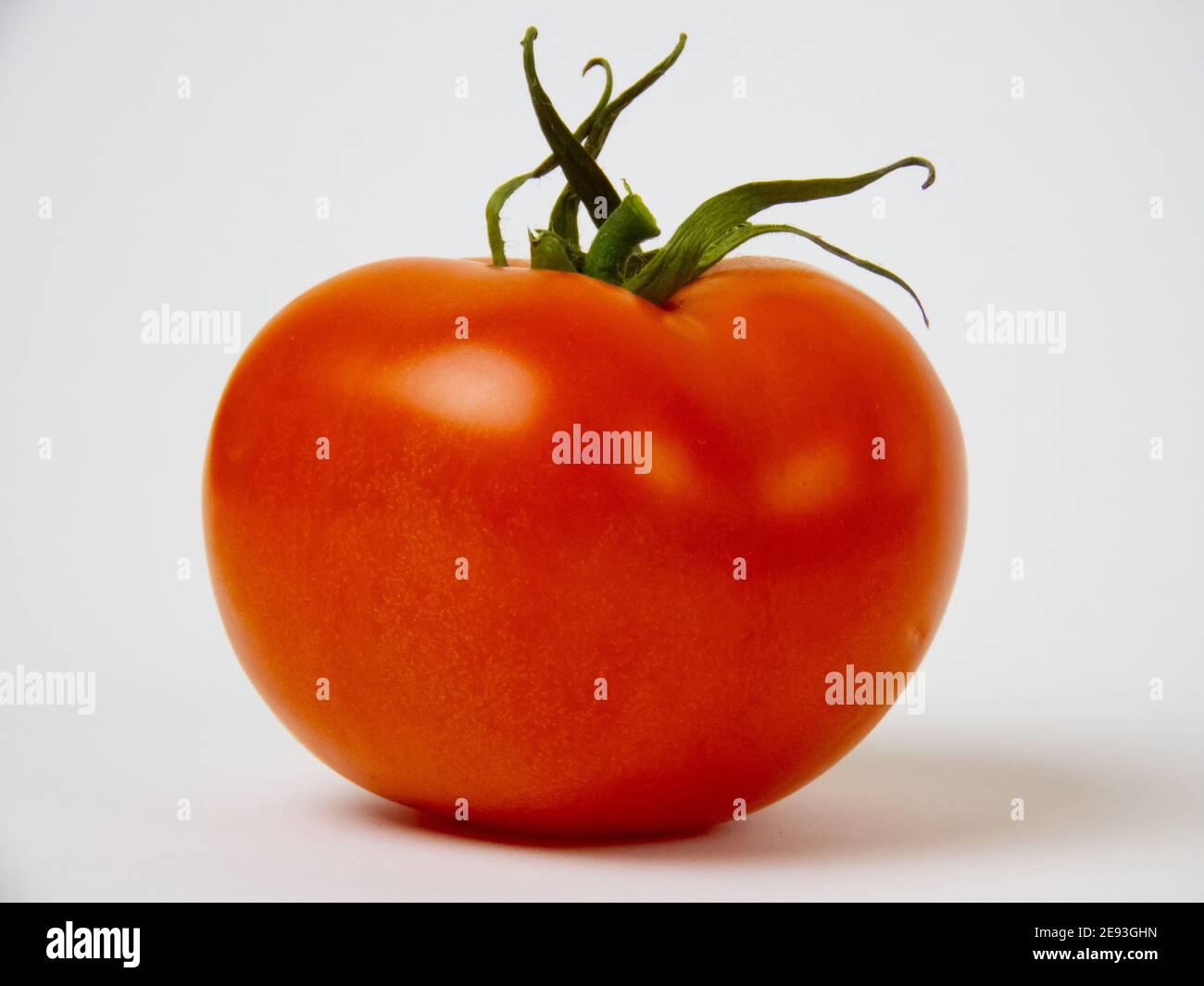 Frische rote Tomate isoliert im hellen Hintergrund, genetisch veränderte Lebensmittelkonzept Stockfoto