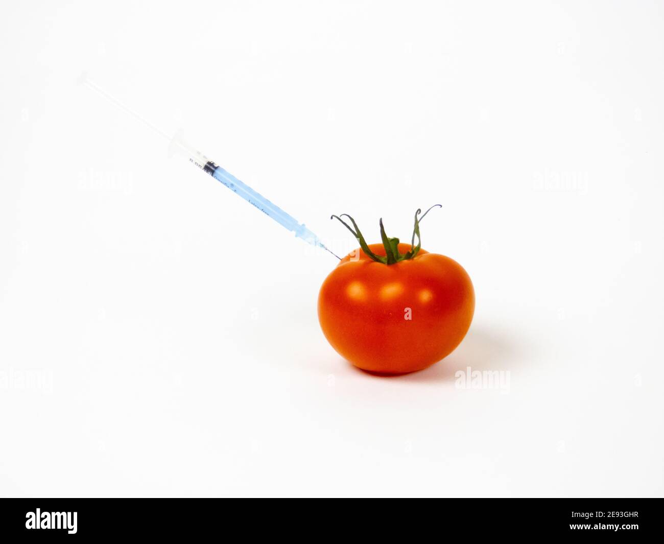 Injektion in frische rote Tomate isoliert in den weißen Hintergrund, genetisch veränderte Produkt Stockfoto