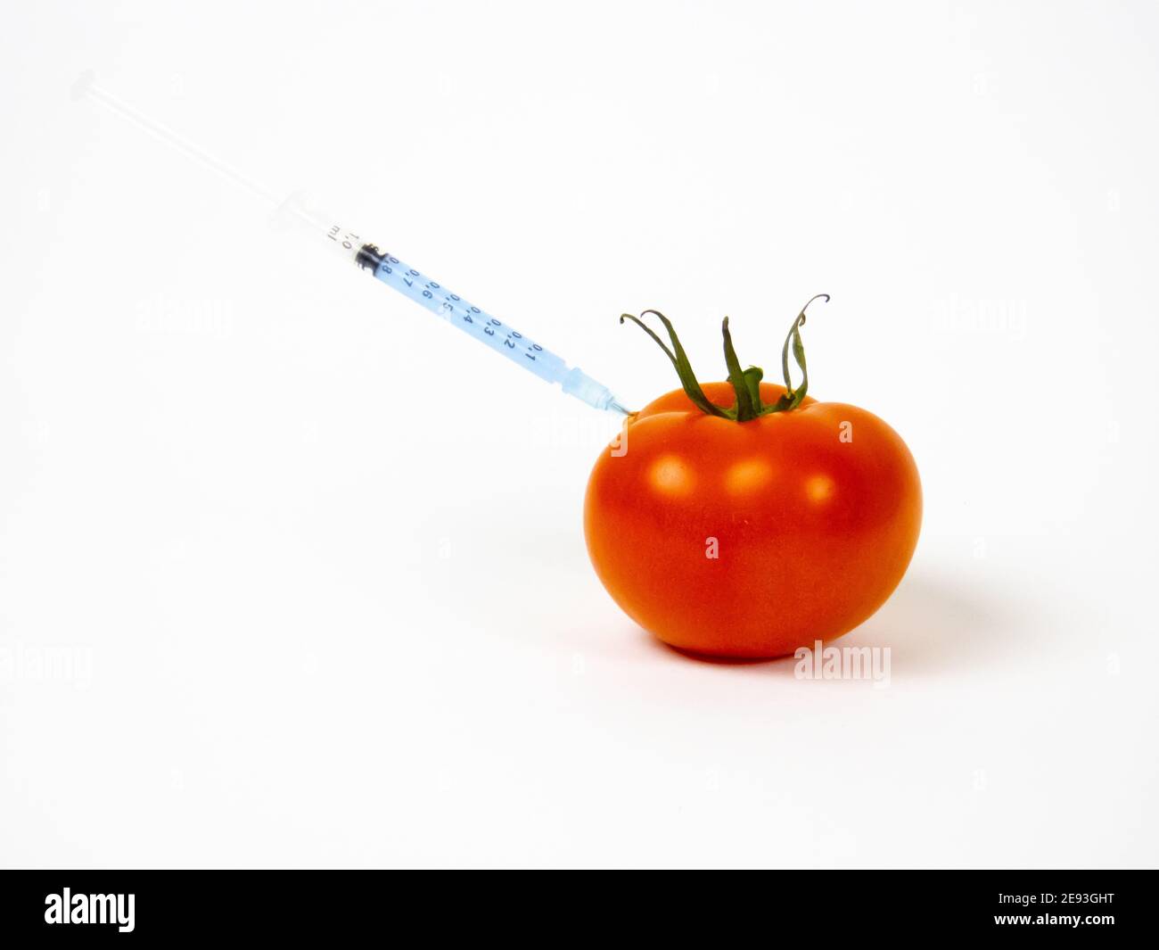 GVO-Tomate mit einer Spritze isoliert in den weißen Hintergrund Stockfoto