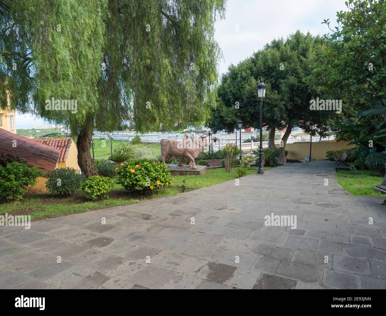 Firgas, Gran Canaria, Kanarische Inseln, Spanien 13. Dezember 2020: Blick auf einen kleinen Park in der Altstadt von Firgas Stockfoto